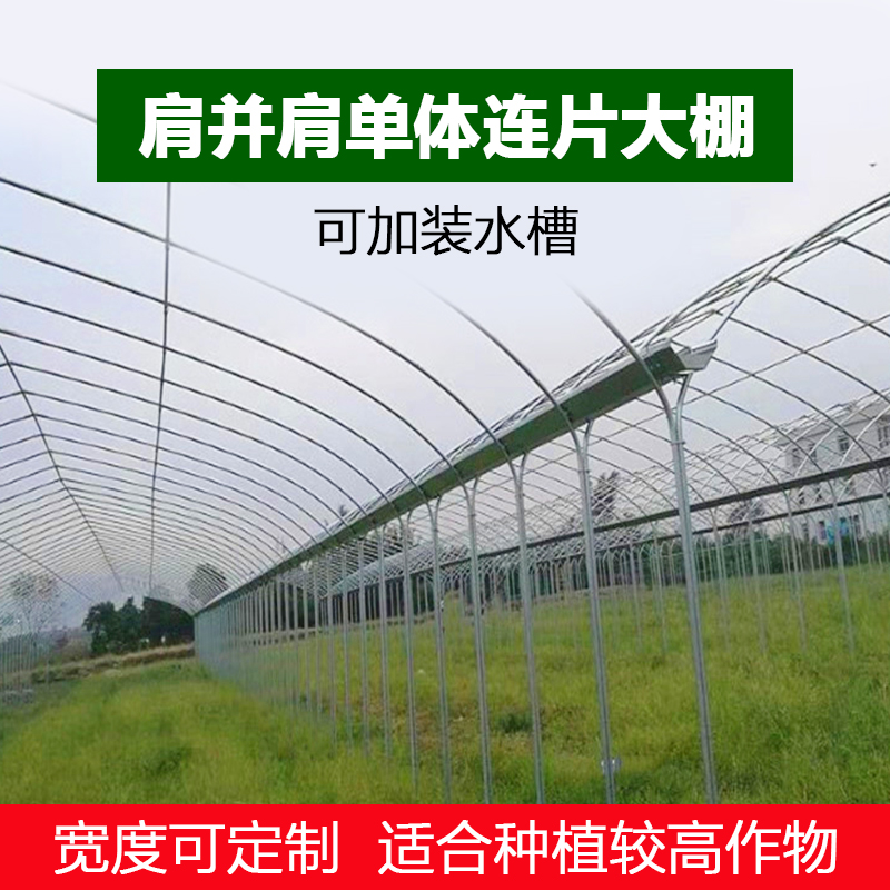 钢管大棚 单体连片单体棚连栋棚热镀锌钢管棚