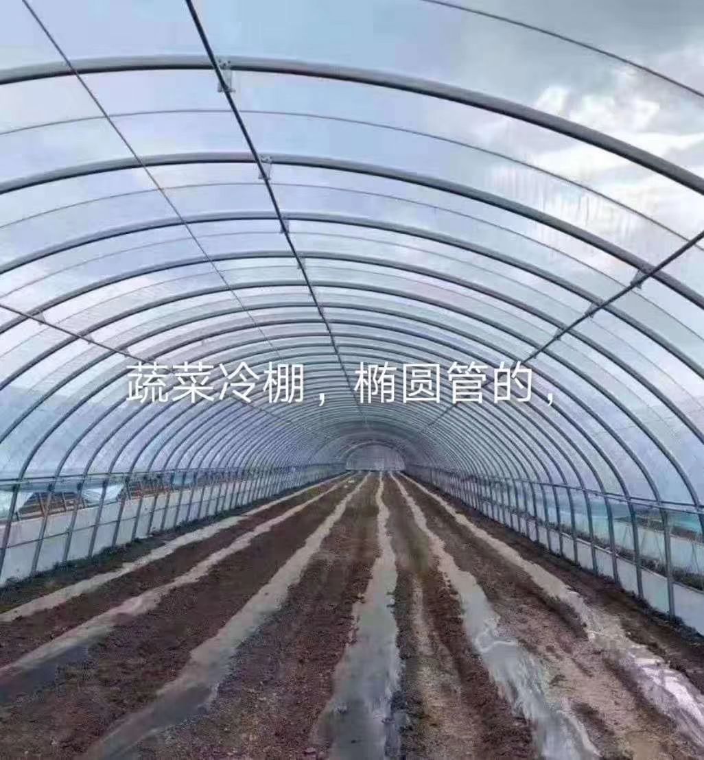 大棚管  种植大棚  养殖棚 蔬菜棚 大棚配件 质量保证 厂家直发