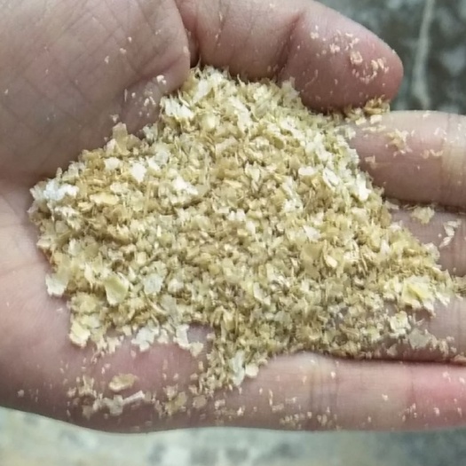 奇台县麦麸  新疆粮油集团**厂家直销优质麸皮