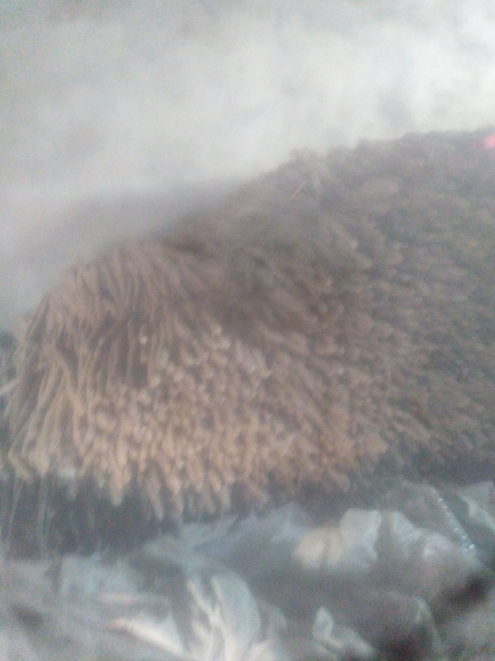  面的山药