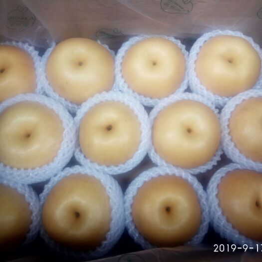 莱阳市莱阳梨 90mm以上 450-500g