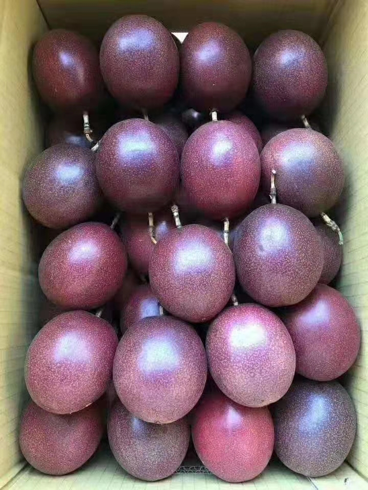  物美价廉的百香果
