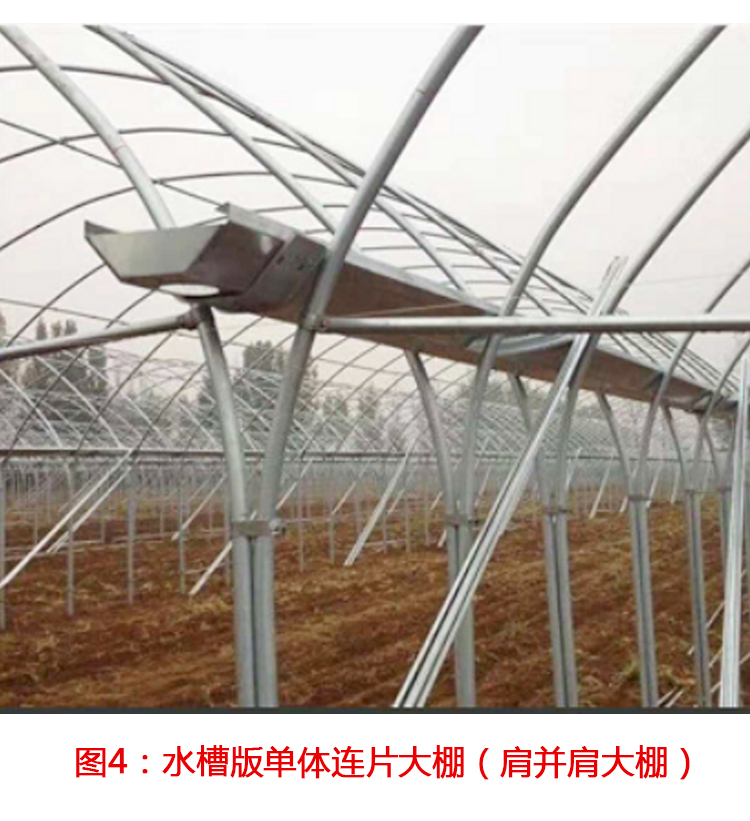 钢管大棚 单体连片单体棚连栋棚热镀锌钢管棚