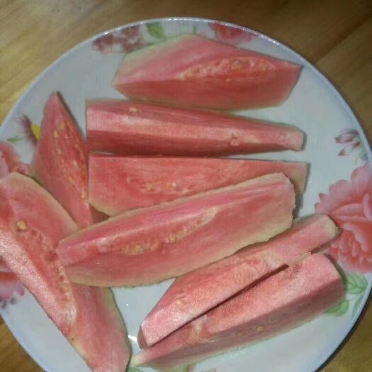 惠东县红心芭乐番石榴苗 靓丽的红心番石榴，大量上市