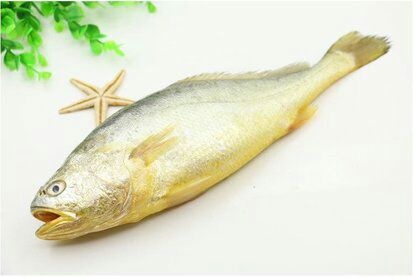 莆田大黄鱼 海捕速冻黄瓜鱼