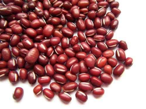 红小豆  【24年新豆包邮】黑龙江红小豆东北杂粮红豆老品种