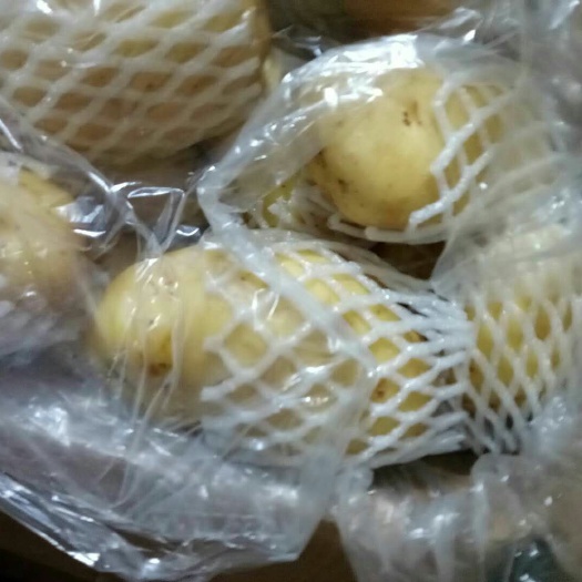 沂南县 荷兰十五土豆！直销热卖！全国物流发货！