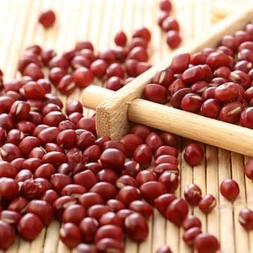 红小豆  【24年新豆包邮】黑龙江红小豆东北杂粮红豆老品种