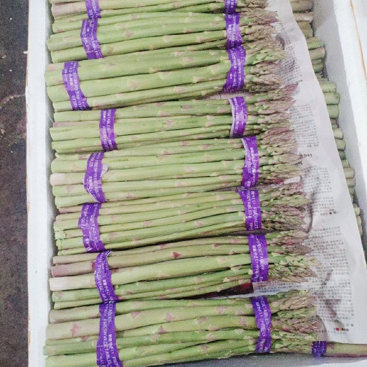  精品芦笋销售