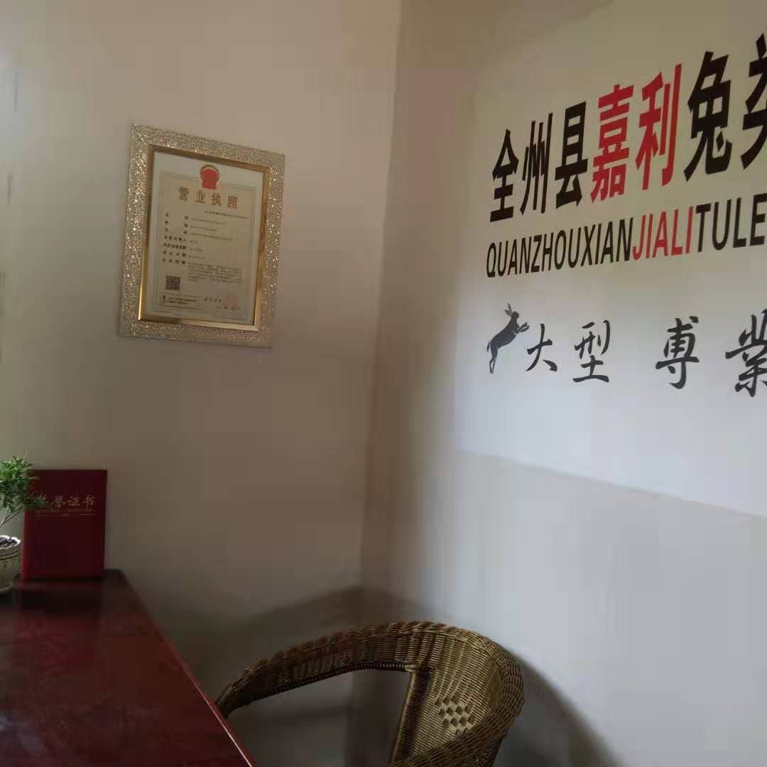 比利时兔 疫情当头不能出去。想创业养兔的朋友。可以来场地考察学