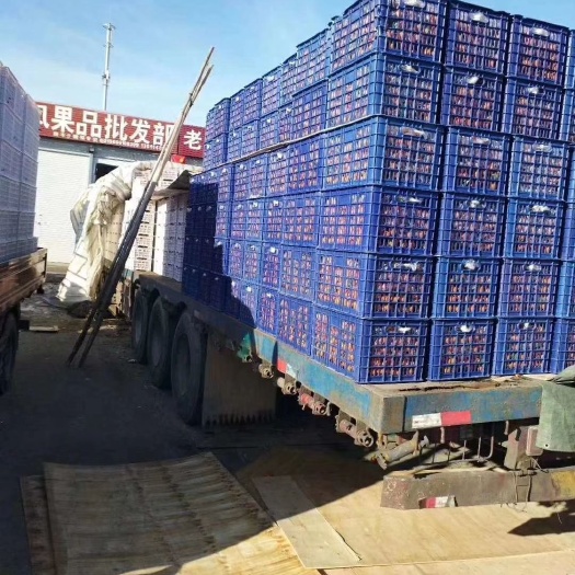 廊坊沙糖桔 沙糖桔到货，一个烂的没有，60一件，16斤，安次周边可以送，