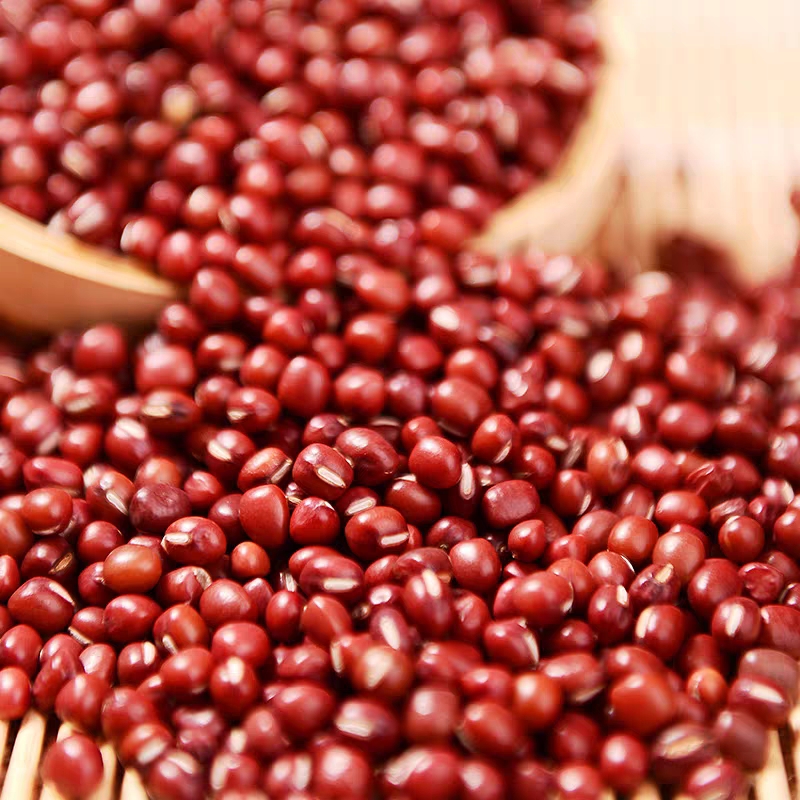 红小豆  【24年新豆包邮】黑龙江红小豆东北杂粮红豆老品种