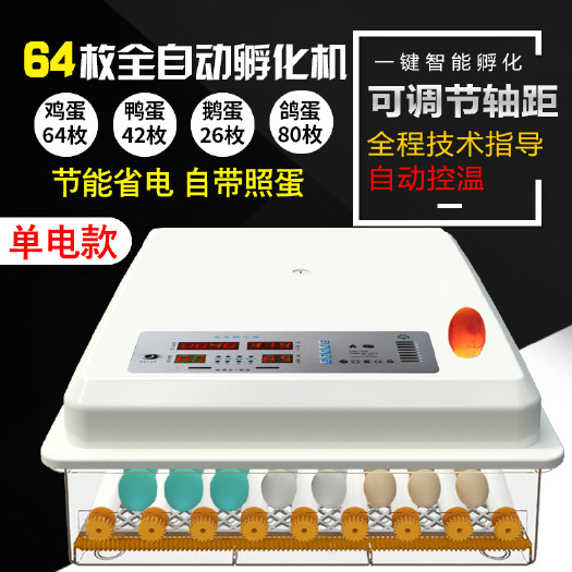 德州养殖孵化机 64枚全自动孵化器