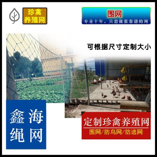 沅江市荷兰网  本公司生产的线，绳子网片全新料生产，并添加uv抗紫剂！