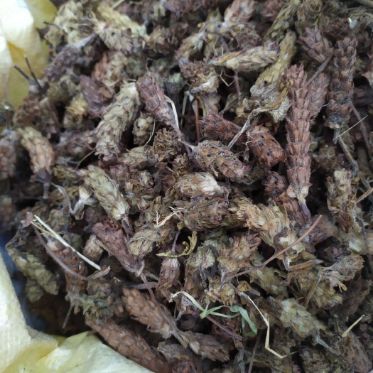 四川纯嘢生夏枯球统货，夏枯草摘的球，药性好是家种含量3-5倍