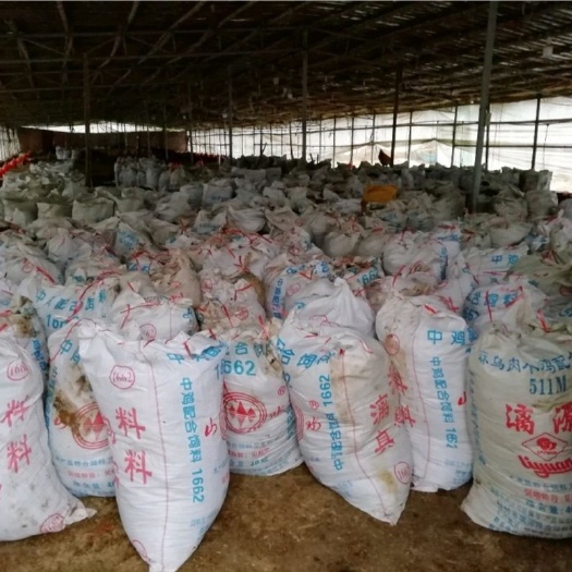 灵川县 刚出栏鸡粪，已袋装好，每袋60至80斤