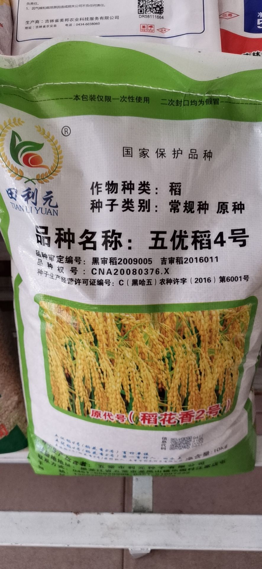 广西水稻种子品种图片