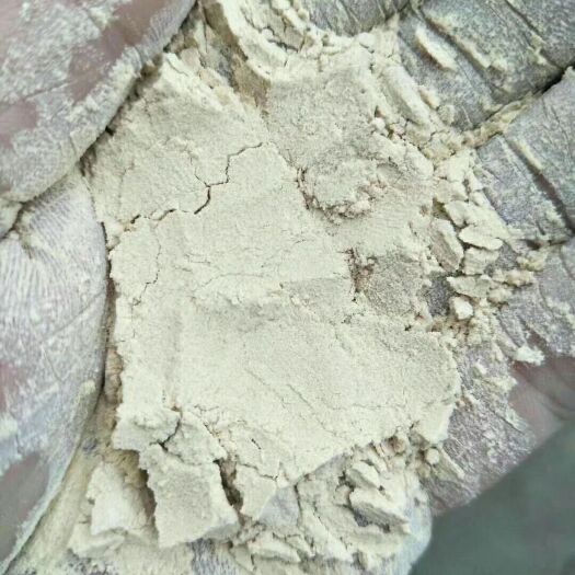 石家庄玉米粉