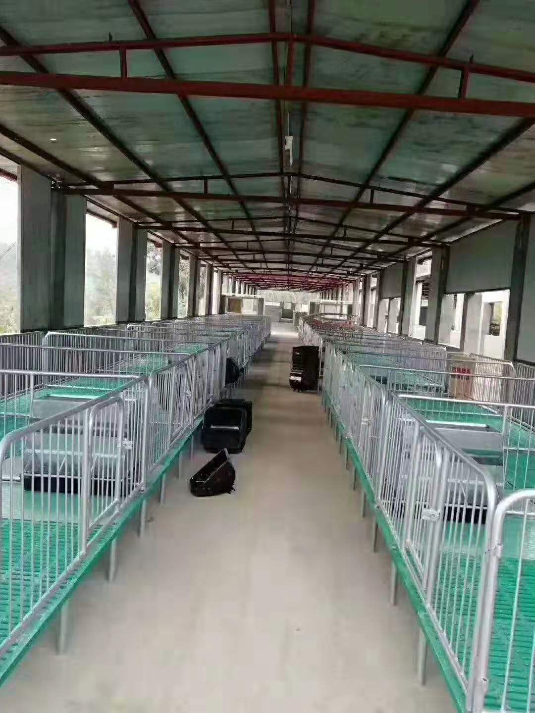  供应新型养猪设备母猪产床 定位栏厂家直销大量供应