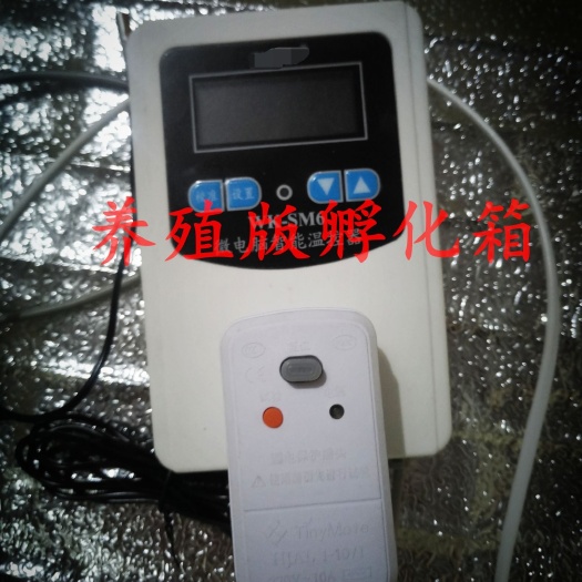 费县养殖孵化机 养殖版孵化器可以订制大小