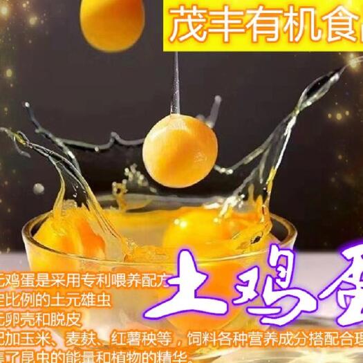 故城县 有机土元鸡蛋【健康，营养，土元虫喂养】