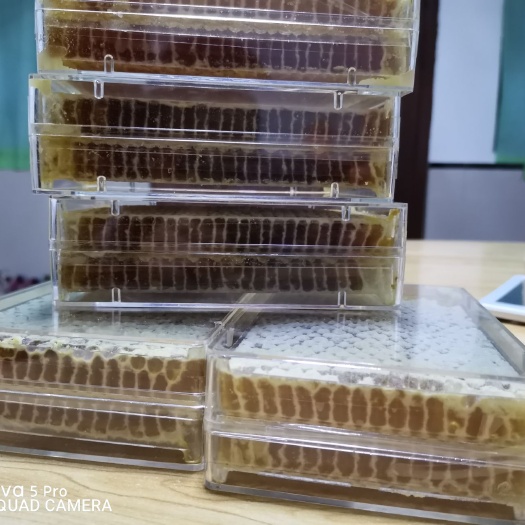 北屯市油菜蜜 自产自销，纯生态，无污染新疆巢蜜。增强体质，加大自身抵抗力。