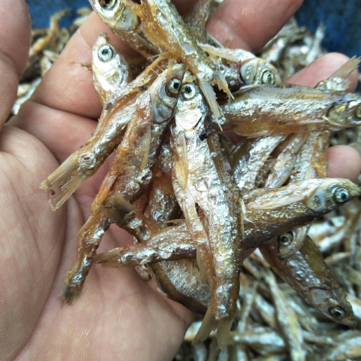 翘嘴白鱼干
