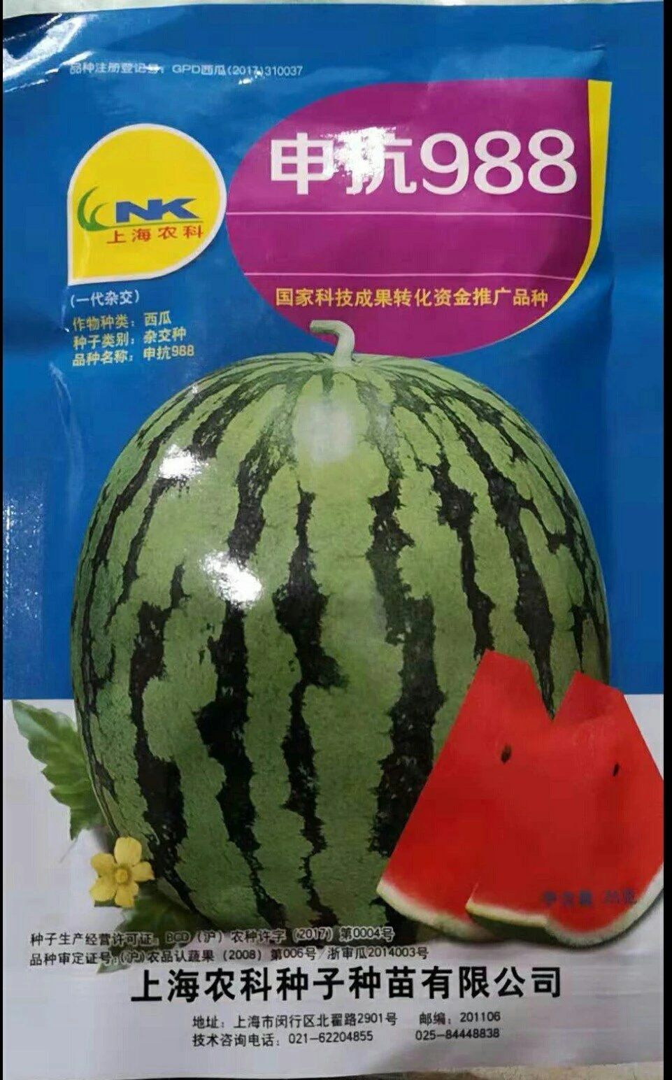商丘申抗988圆，抗重茬，圆形或高圆形，大红瓤，糖度高。