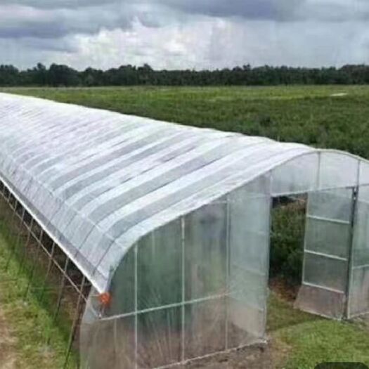 天津种植大棚 蔬菜大棚 本公司专业生产管材 订做各种尺寸