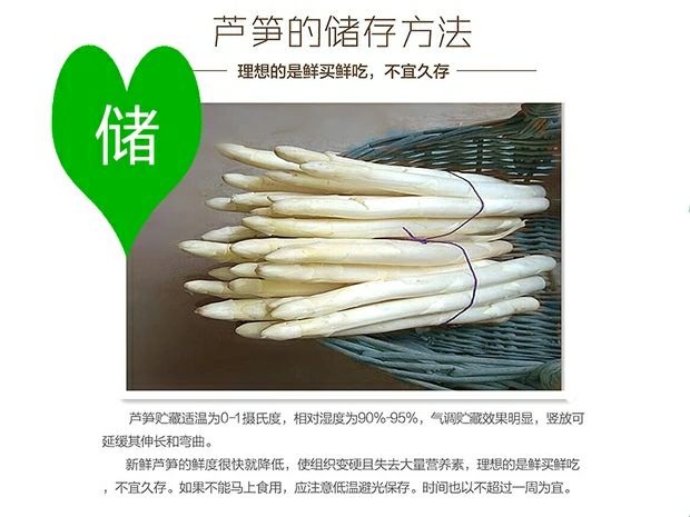 曹县 新鲜白芦笋含维生素微量元素