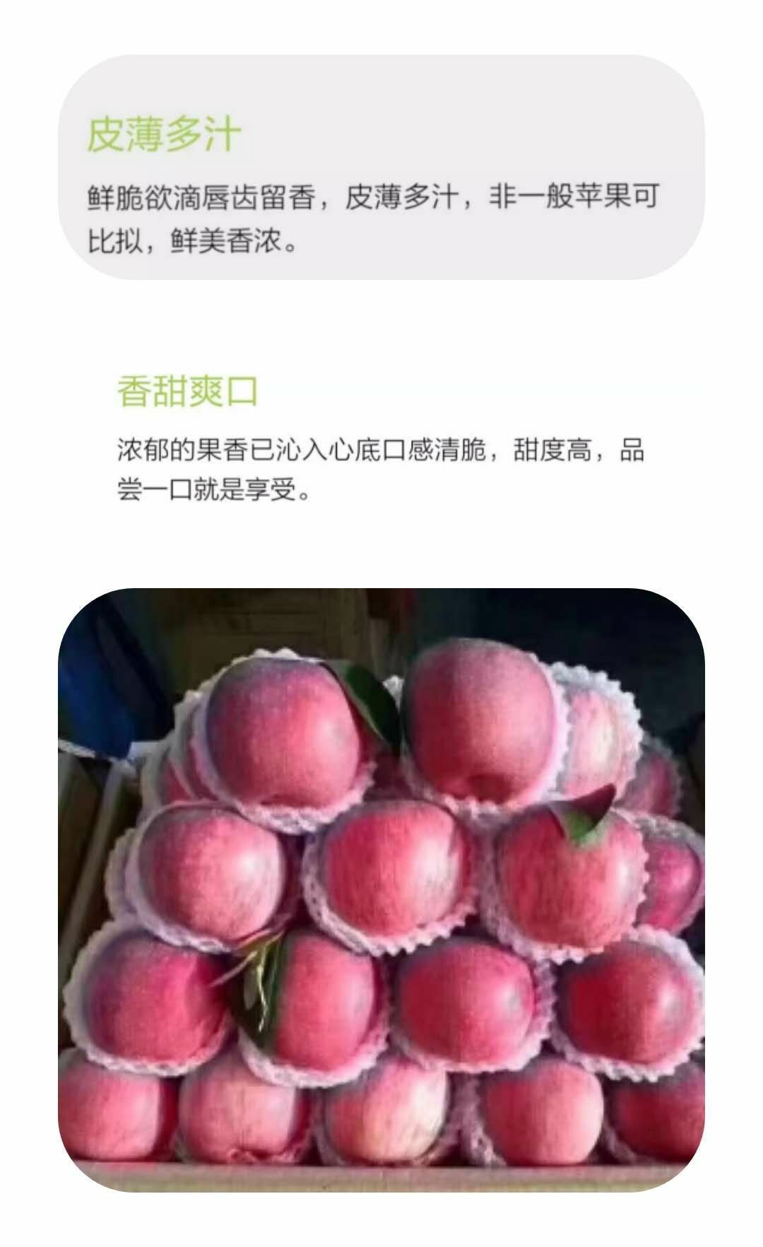 红富士苹果【严选洛川苹果】新鲜当季囗感甜脆产地直发包邮水果