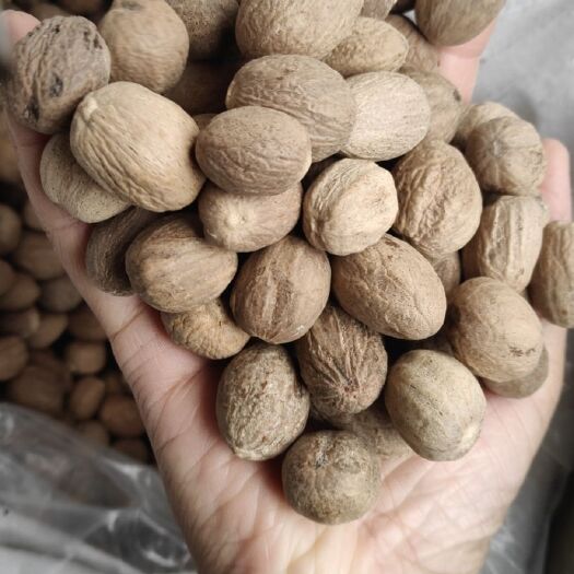 滕州市豆蔻 特级肉蔻