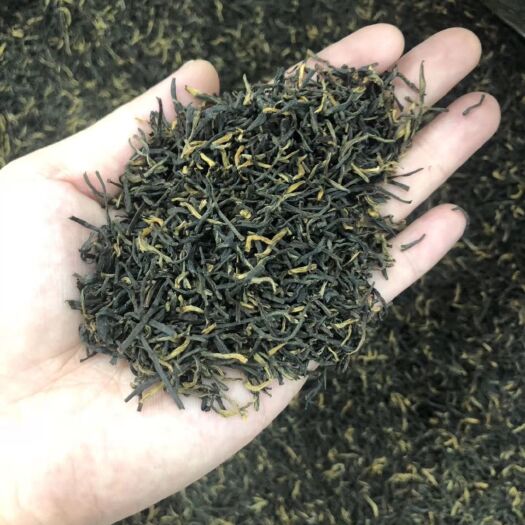 南雄市正山小种  新款武夷山岩茶金骏眉粟香型红茶叶桐木关金俊眉散装
