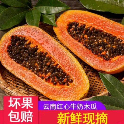 昆明 云南红心木瓜5斤12.5元，10斤17元包邮，