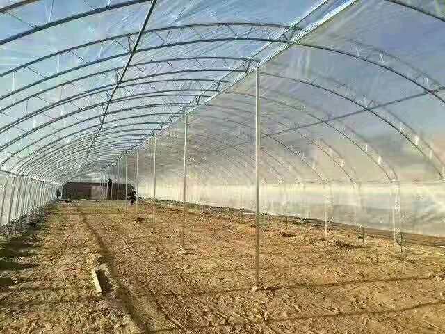 天津大棚骨架   双膜骨架是种植草莓，葡萄，樱桃，车厘子，保温效果超好