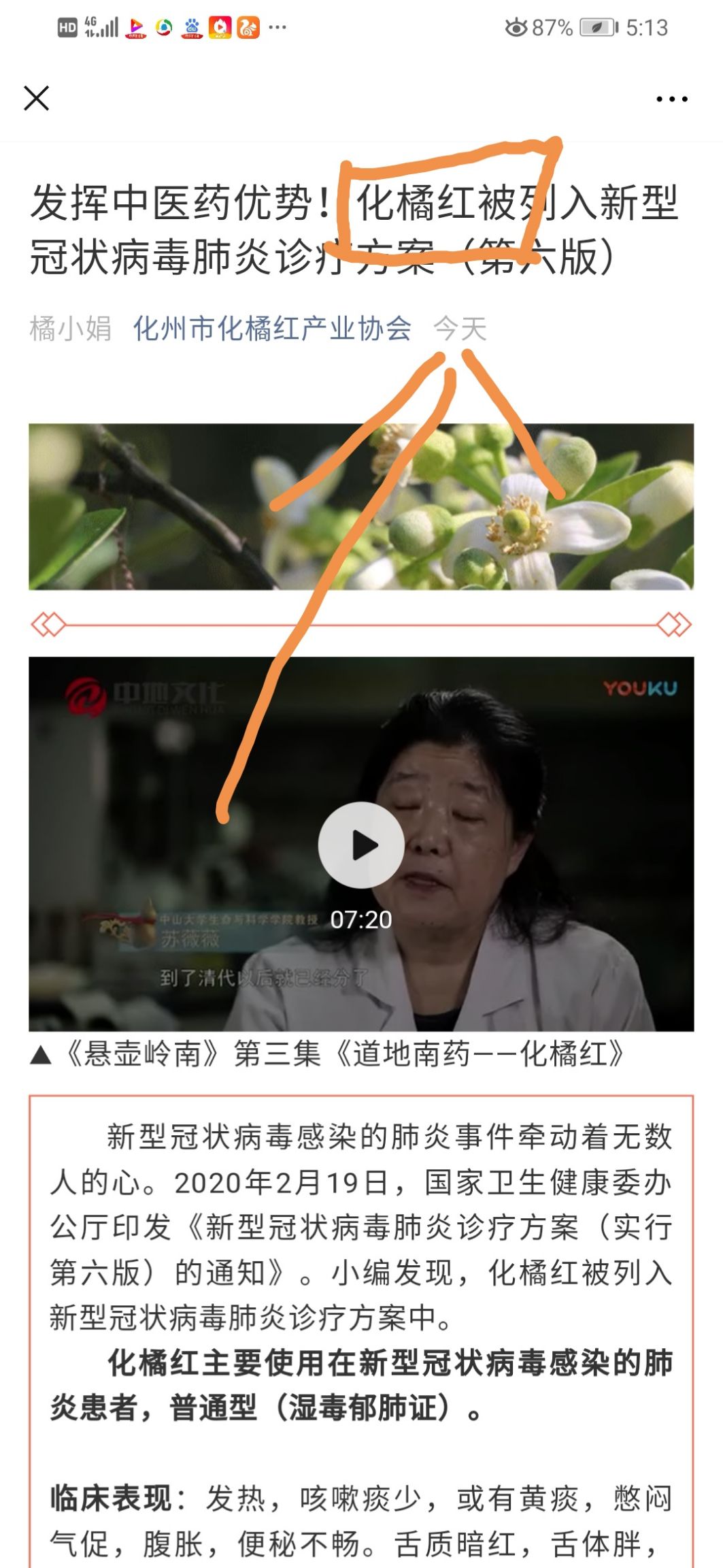 化橘红  陈年化州橘红果切片包邮