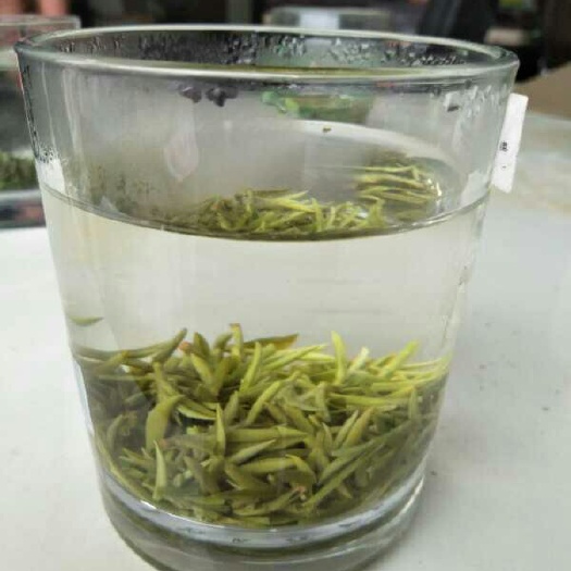 丹棱县碧螺春 高山云雾茶