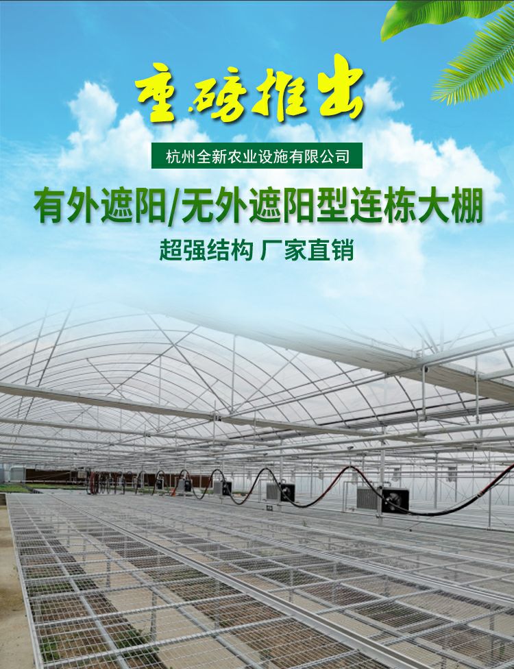  连栋大棚热镀锌连体温室大棚薄膜连栋棚