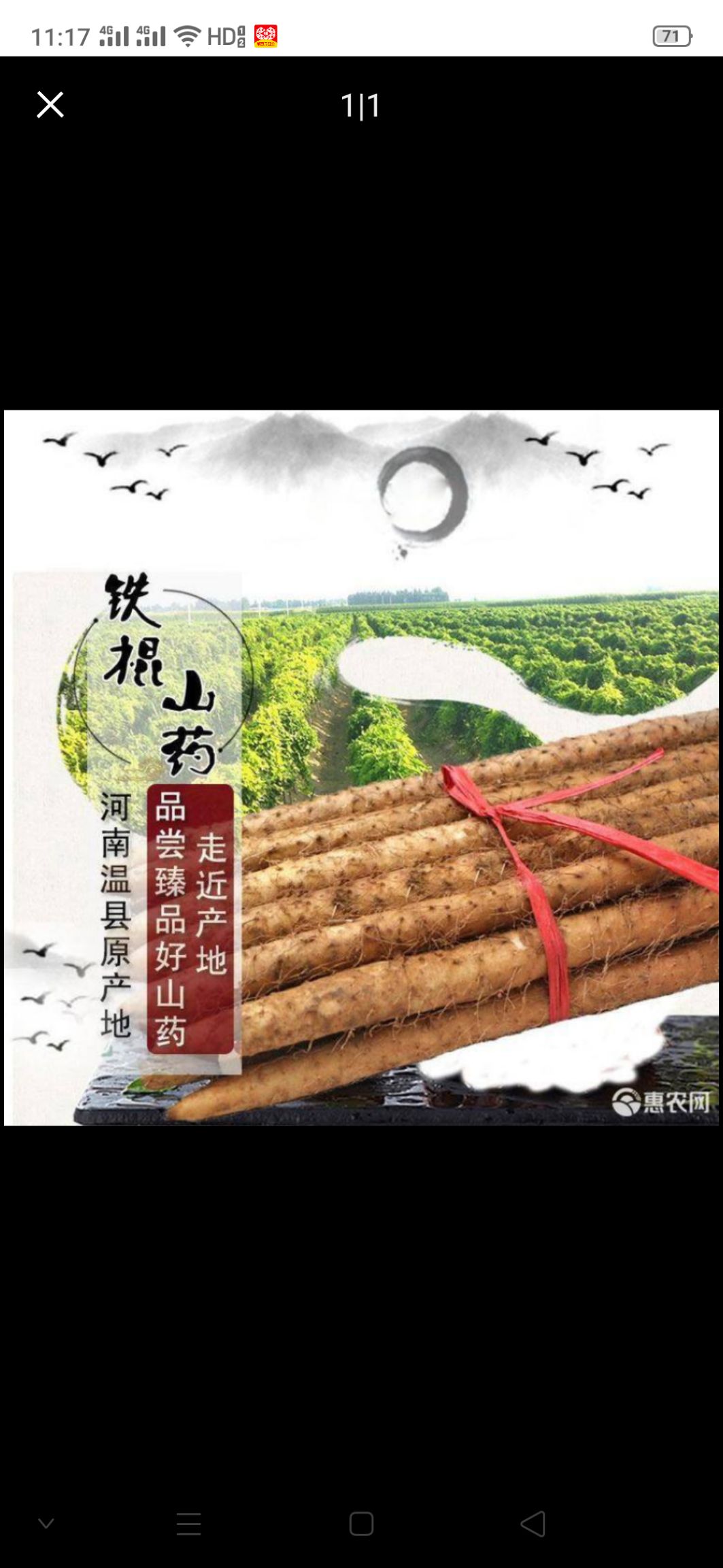  河南焦作温县正宗铁棍山药