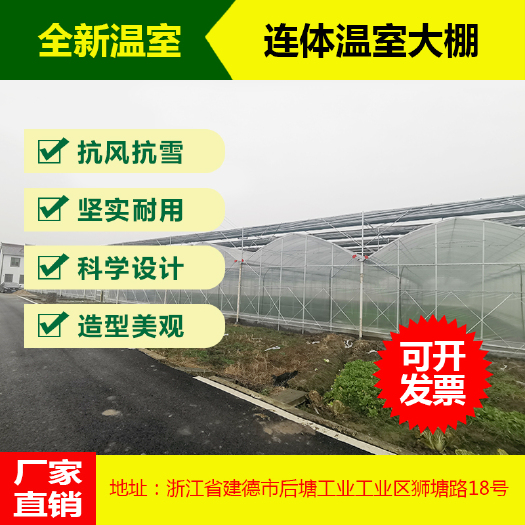 建德市 连栋大棚热镀锌连体温室大棚薄膜连栋棚