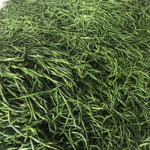 钦州 大量上市 各种靓辣椒 货源充足 欢迎上门选购！
