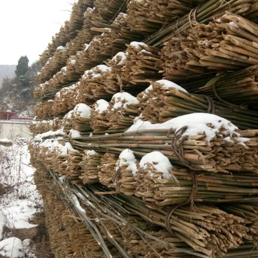 徽县菜架竹 疫情期间，疫情过后，货量充足欢迎各位老板来电