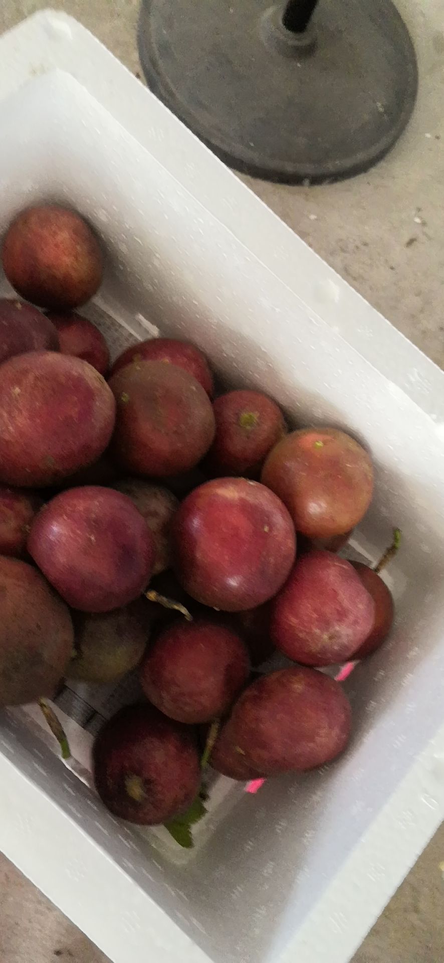 广西紫香百香果直接供货支持一件代发48小时发货全国包邮