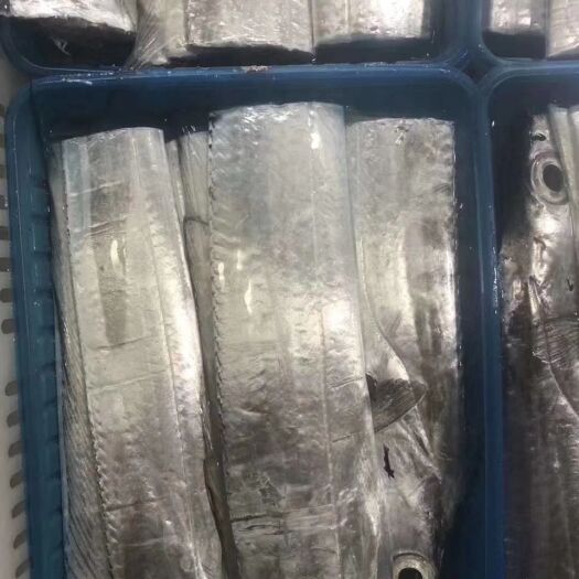 带鱼 带鱼段  产于深海 鲜嫩美味