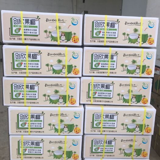 文昌市 海南椰青批发