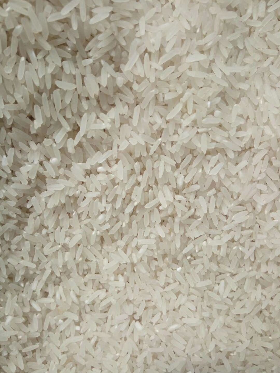 长粒香 一等品 一季稻 籼米