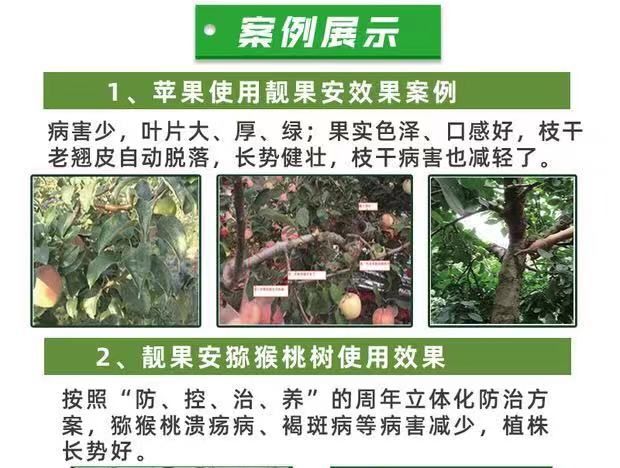 青枯立克  靓果安杀菌剂芒果角斑病柑橘溃疡病桃树穿孔病专用有机农药奥丰