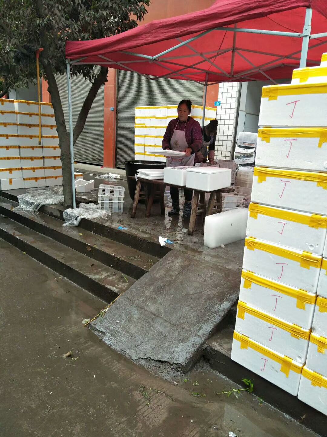 红油香椿芽即将上市，期待新老客户共创辉煌！