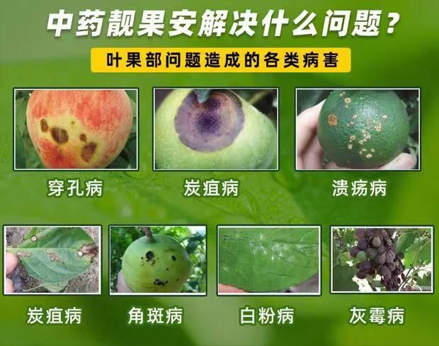 青枯立克  靓果安杀菌剂芒果角斑病柑橘溃疡病桃树穿孔病专用有机农药奥丰