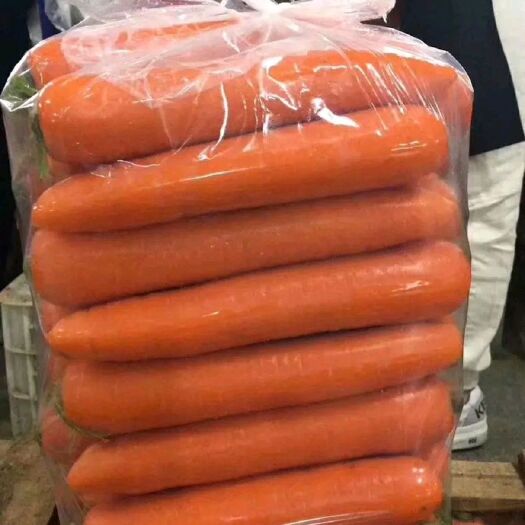 东台市三红胡萝卜  精品胡萝卜  产地大量供应（3～7两）